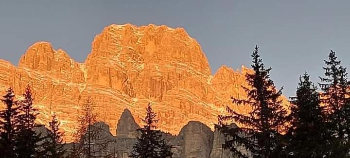 Affittacamere Da Annare Candide Exteriér fotografie